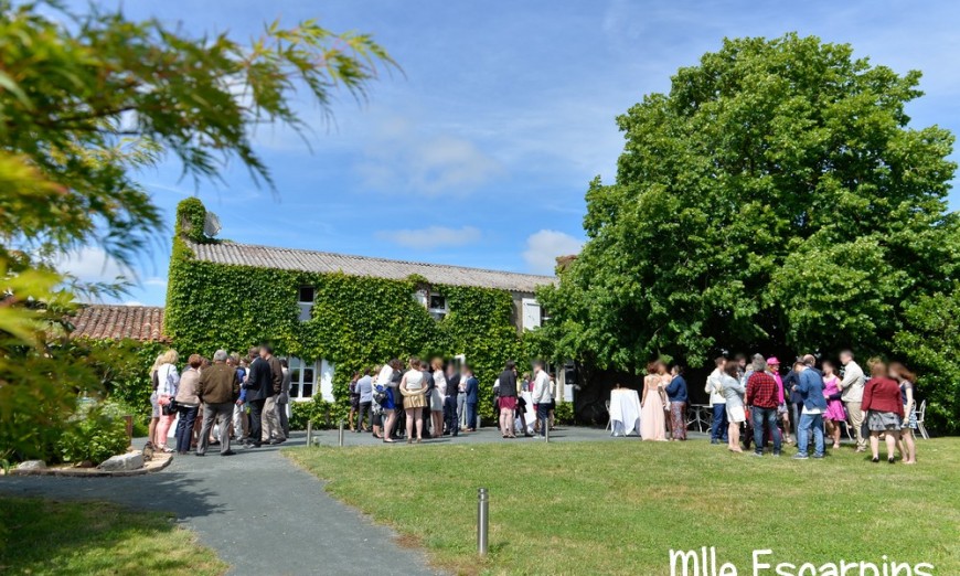 Vue d'ensemble du lieu du cocktail.
